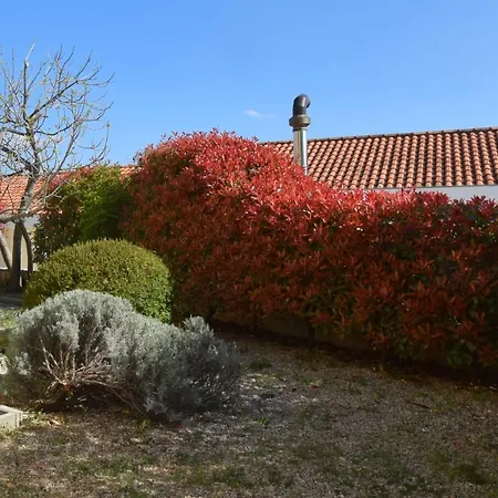 By The Sea Cizici, Krk - 15494 Apartman